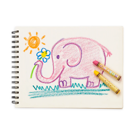 Ooly - Brilliant Bee crayons - set of 12 | Scout & Co