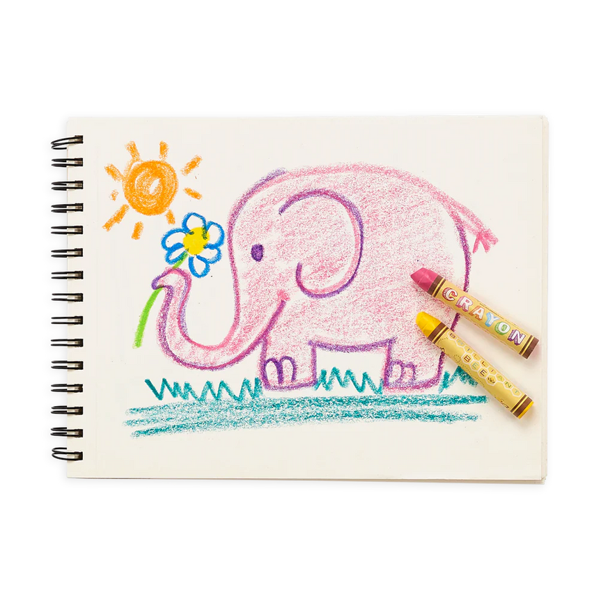 Ooly - Brilliant Bee crayons - set of 12 | Scout & Co