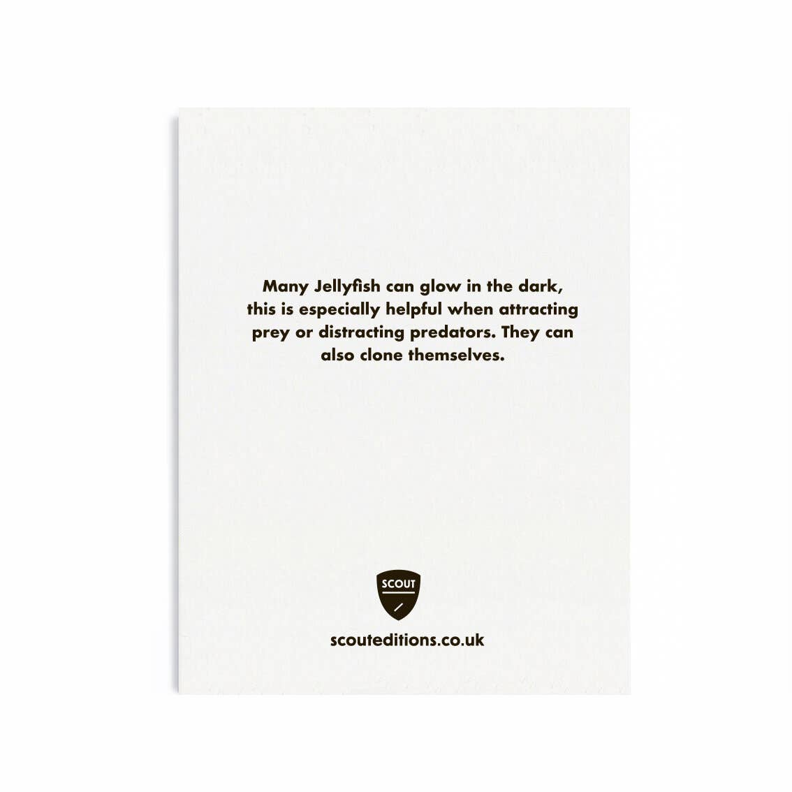 Scout Editions - Jellyfish mini card | Scout & Co