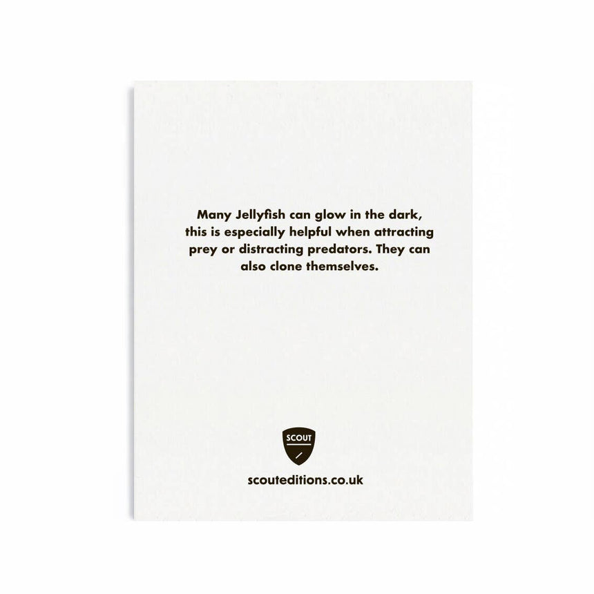 Scout Editions - Jellyfish mini card | Scout & Co