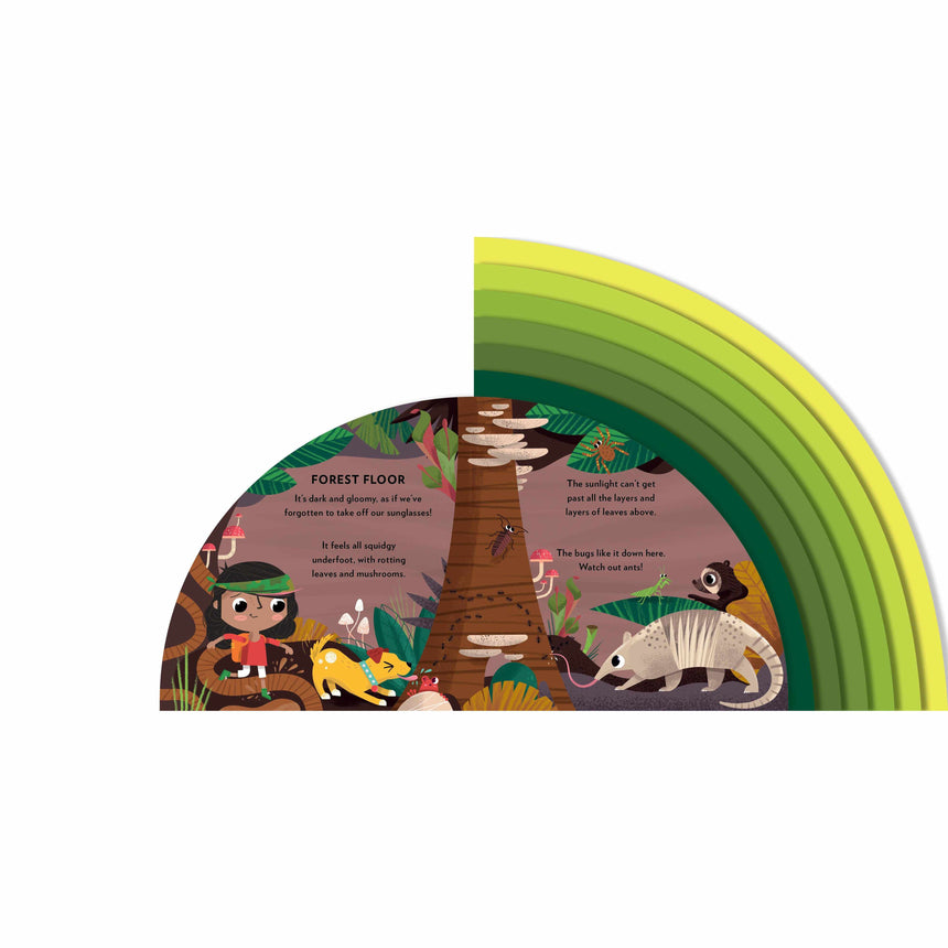 Explore The Rainforest board book - Carly Madden | Scout & Co