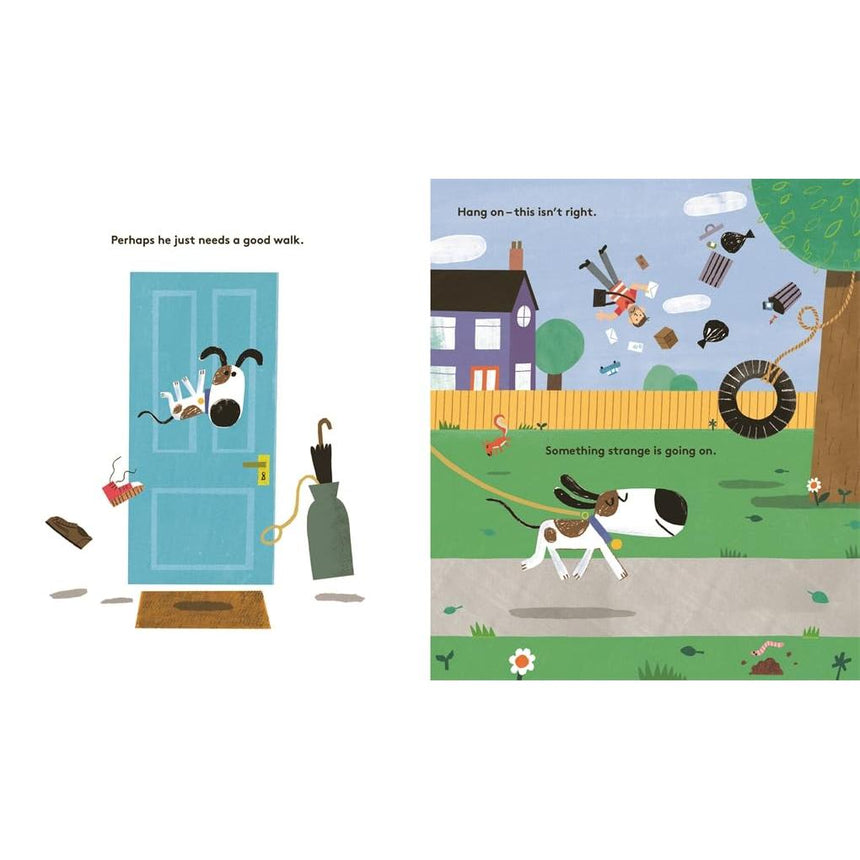 Newton Is Floating: An epic tale of gravity - Eoin McLaughlin | Scout & Co