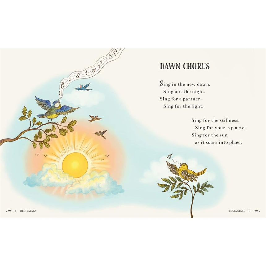 Brown Bear Wood: Wisdom Of The Woods - 40 poems to treasure - Rachel Piercey | Scout & Co