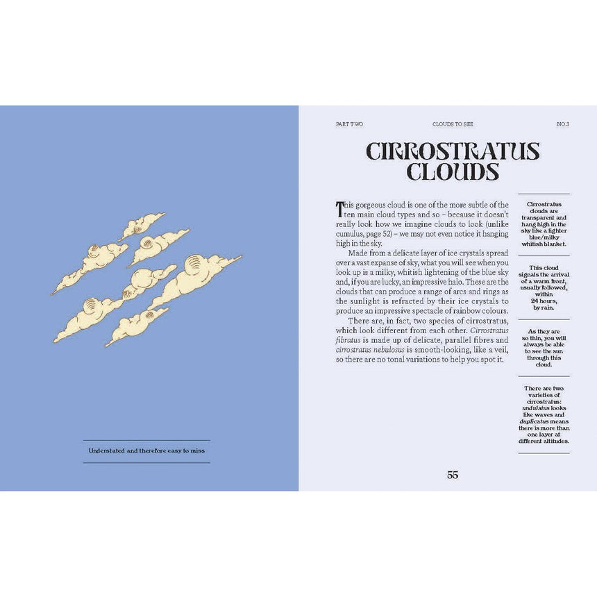 Clouds: A Guide for the Curious - Susan E Clark | Scout & Co