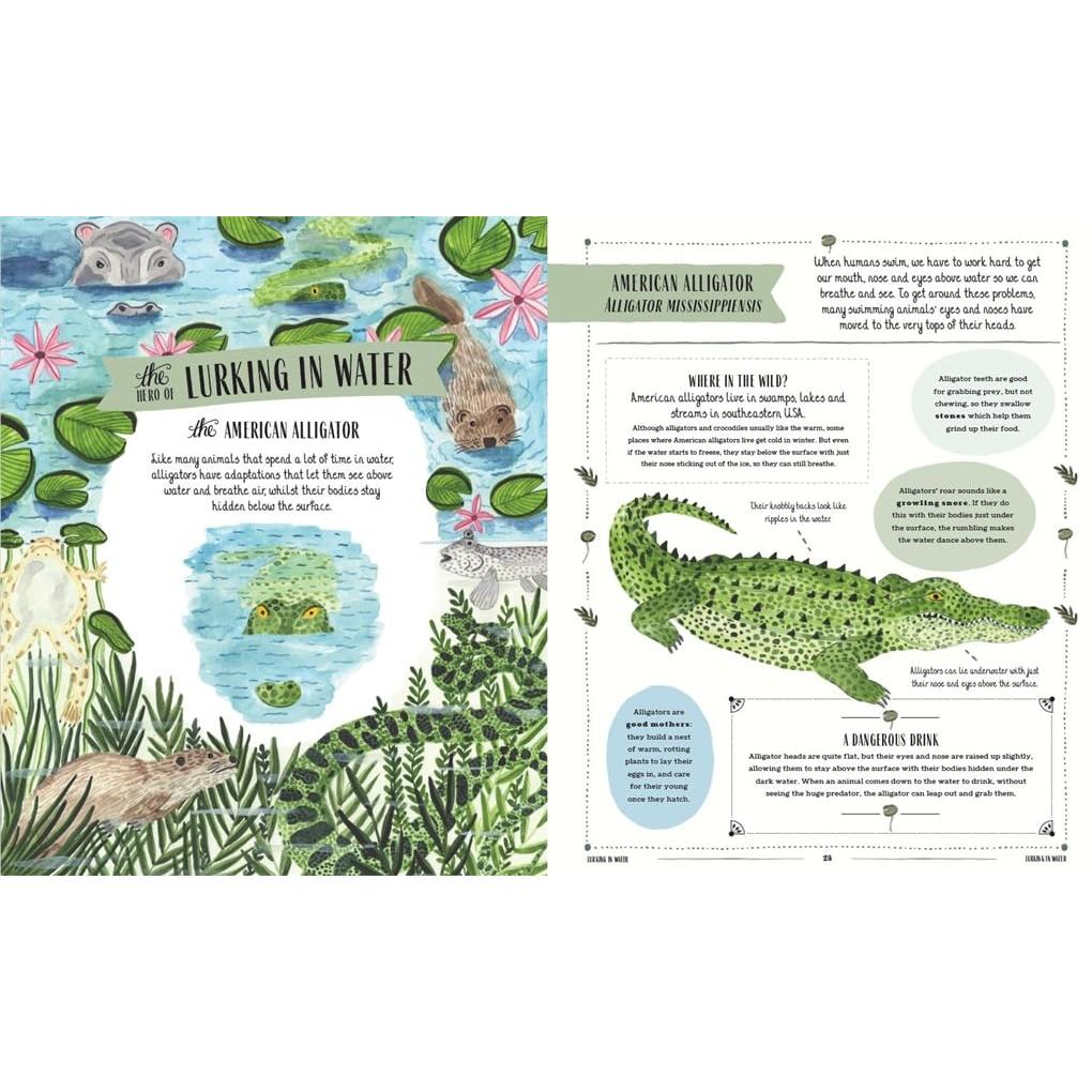 Wild: A Child's Guide To The Animal Kingdom - Jack Ashby | Scout & Co