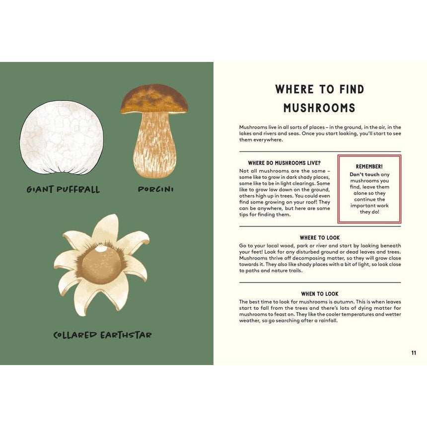 All About Mushrooms - Alice Pattullo | Scout & Co