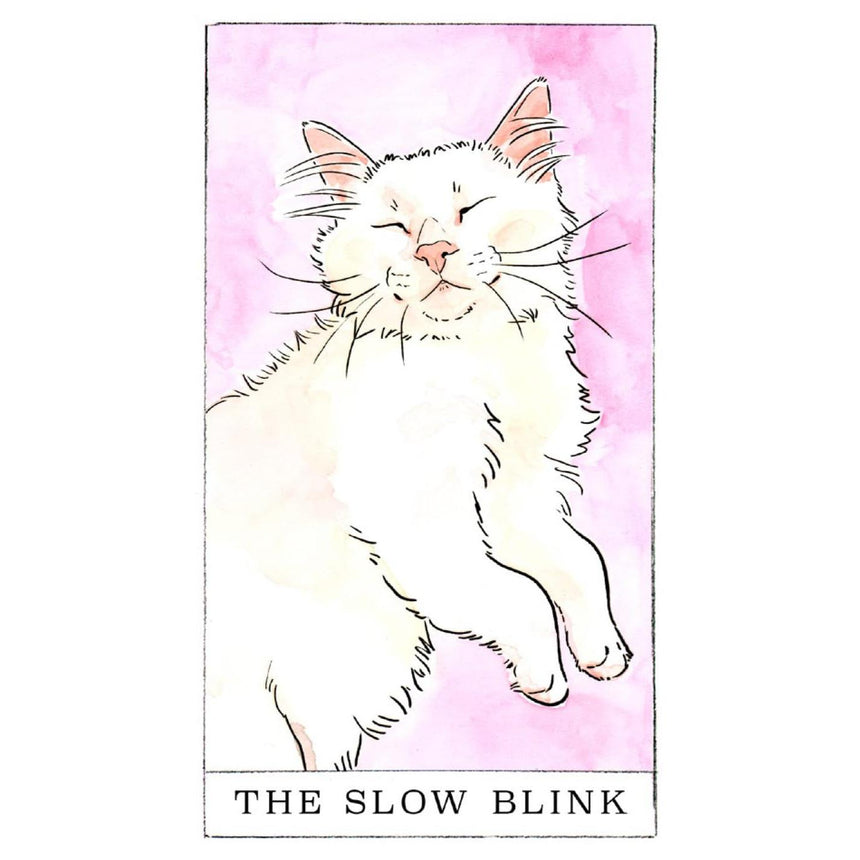 Kitten Oracle: 50 Cards & Guidebook - Megan Lynn Kott | Scout & Co