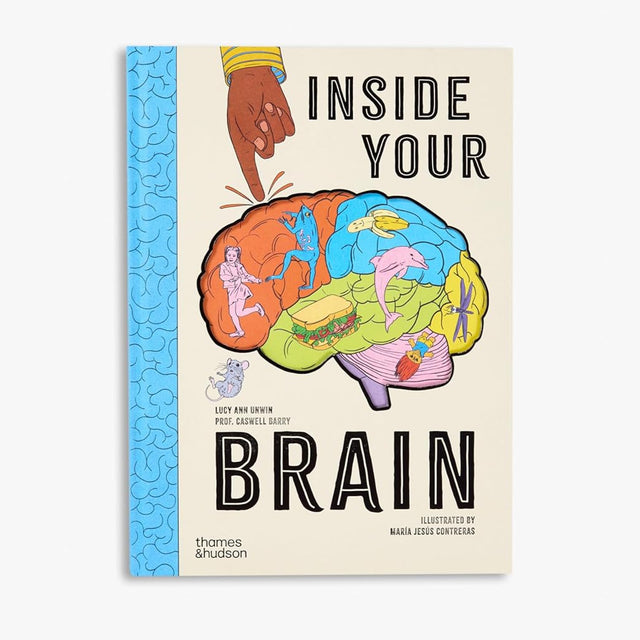 Inside Your Brain - Lucy Ann Unwin & Professor Barry | Scout & Co