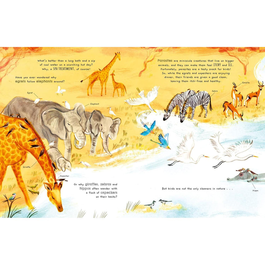 Friends in Nature - Marina Ruiz | Scout & Co