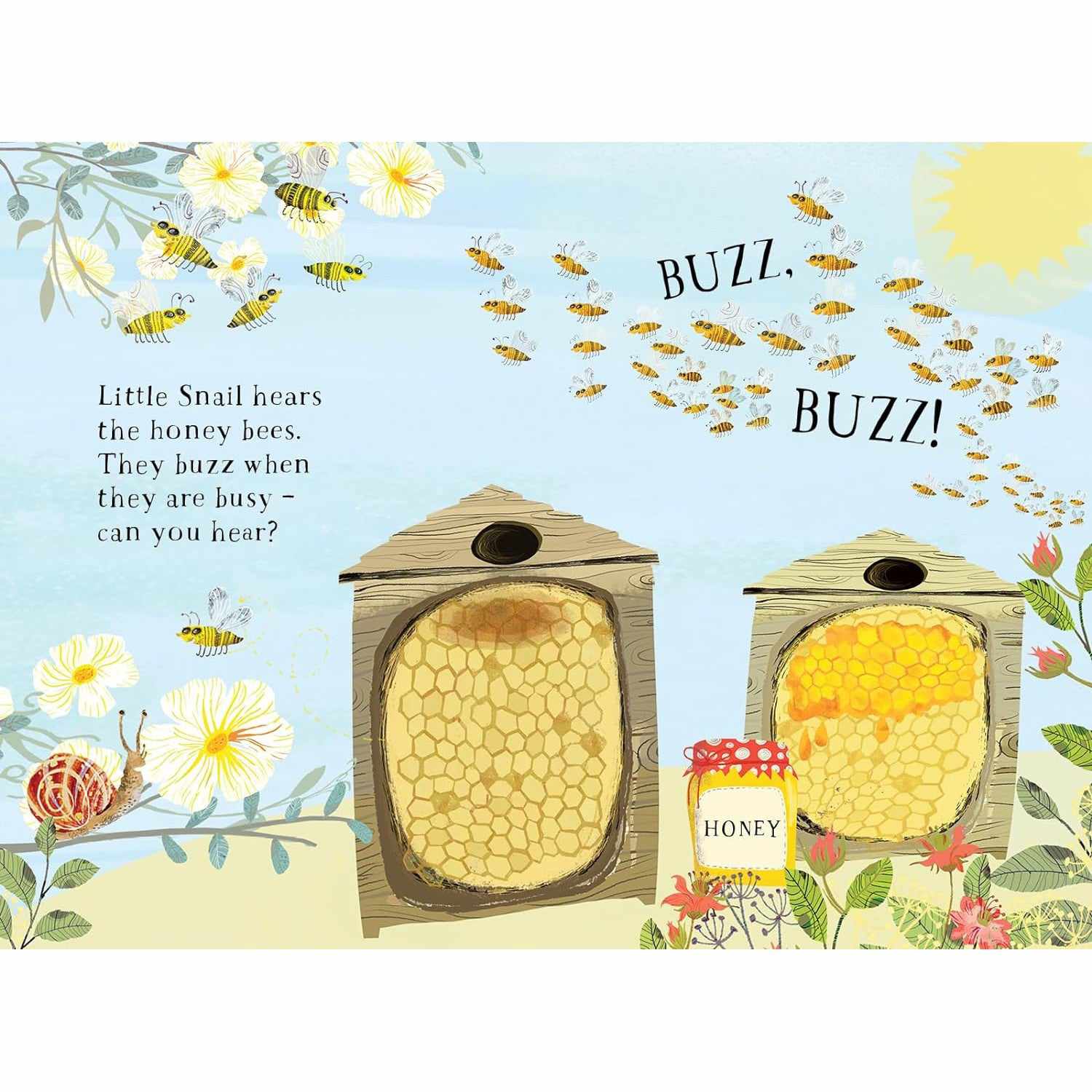 Little Snail's Book Of Bugs board book - Yuval Zommer | Scout & Co