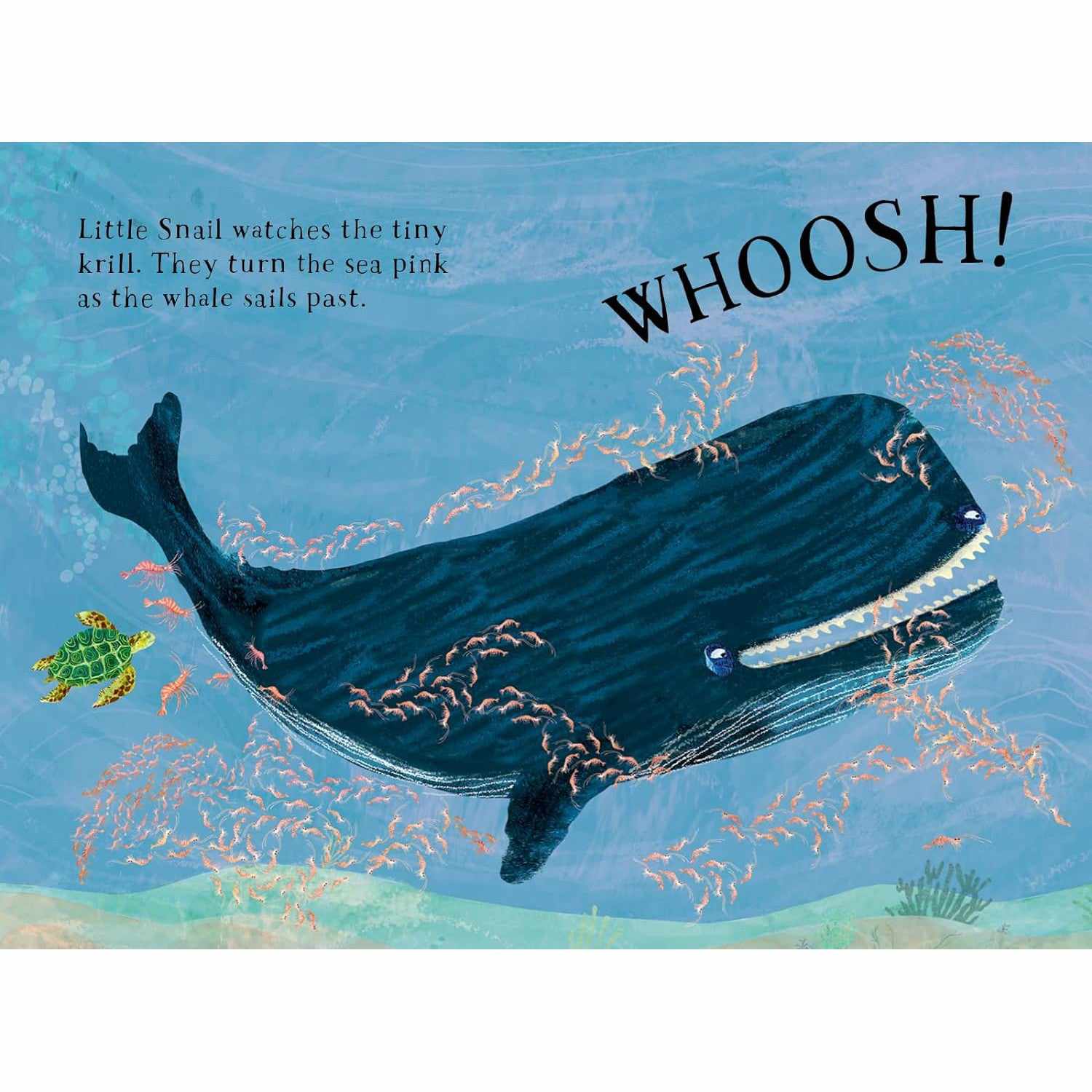 Little Turtle's Book Of The Blue board book - Yuval Zommer | Scout & Co