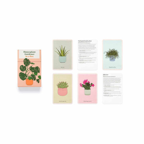 Houseplant Gardener In A Box - Jane Perrone | Scout & Co