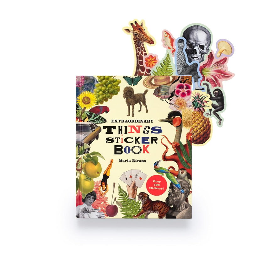 Extraordinary Things Sticker Book - Maria Rivans | Scout & Co