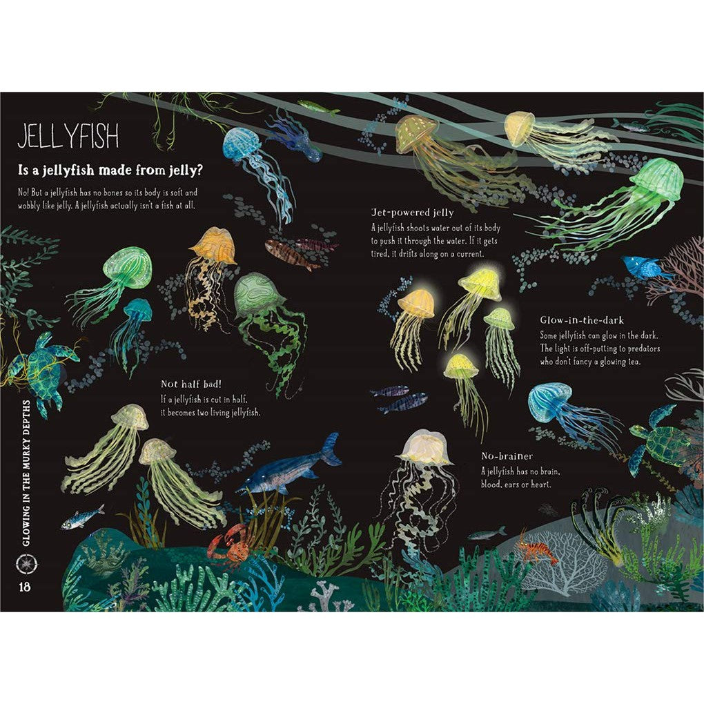 The Big Book Of The Blue - Yuval Zommer | Scout & Co