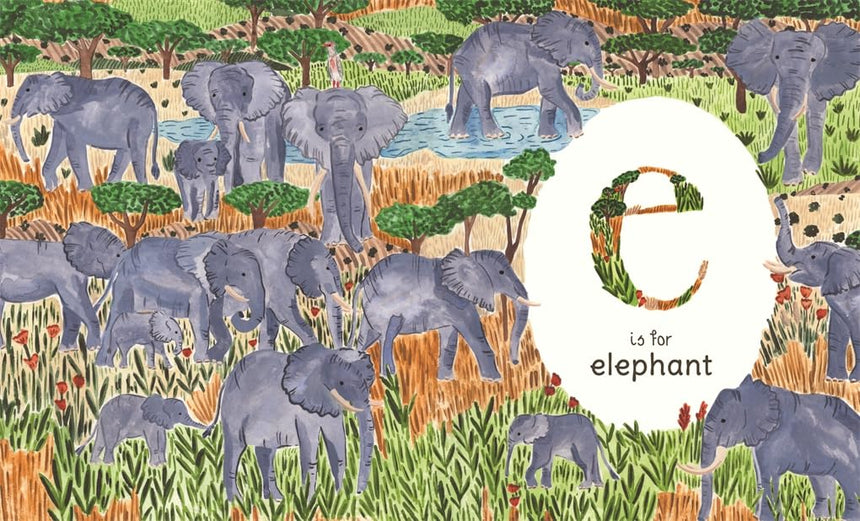 A to Z: An Animal Alphabet - Sara Boccaccini Meadows