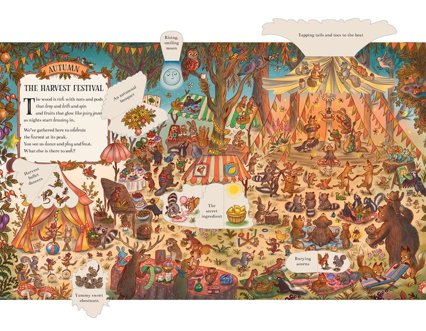 Brown Bear Wood: Here We Go Round the Woodland Year: A Lift-the-Flap Book - Rachel Piercey