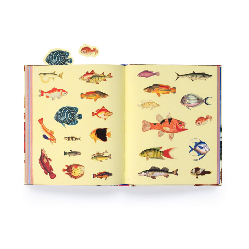 Extraordinary Things Sticker Book - Maria Rivans | Scout & Co