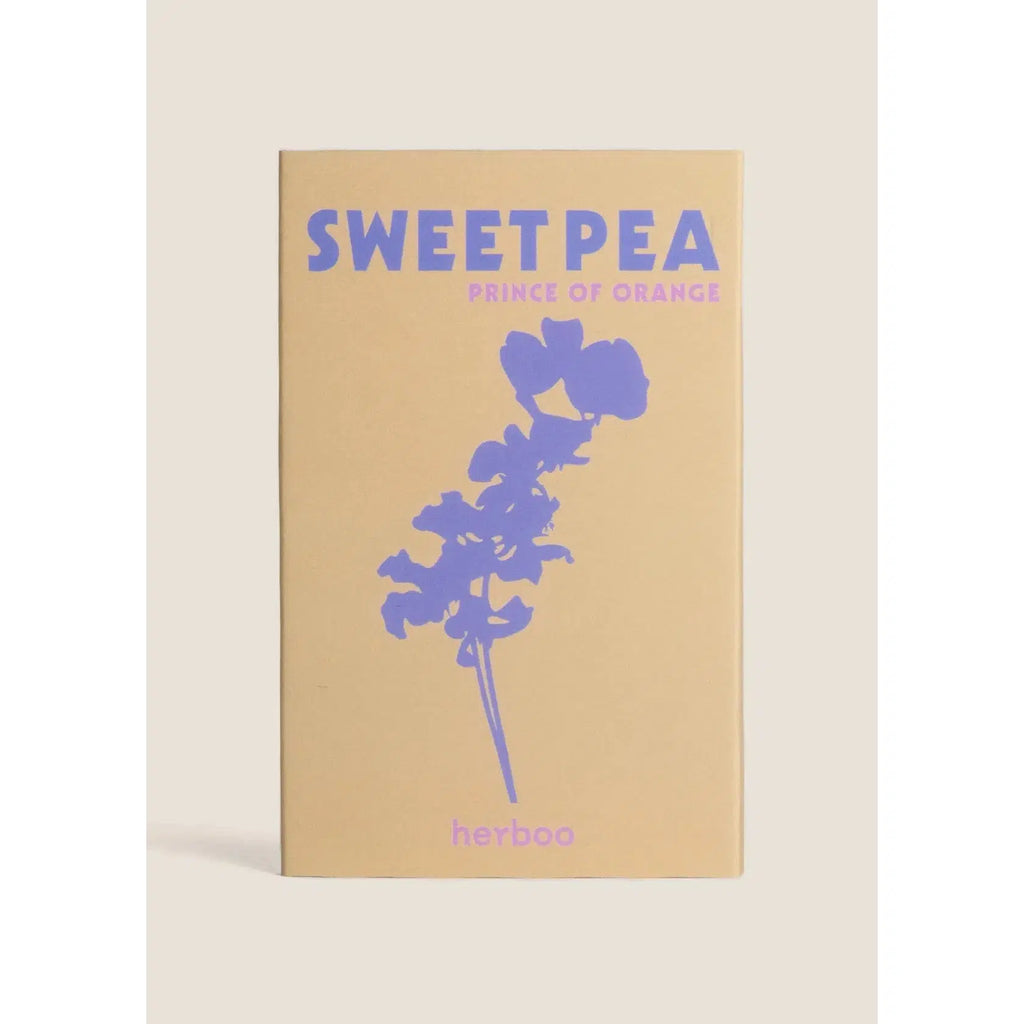 Herboo - Sweet Pea 'Prince Of Orange' seeds | Scout & Co