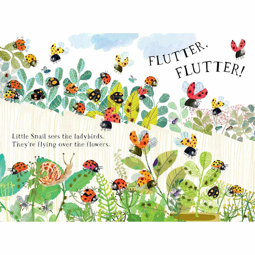 Little Snail's Book Of Bugs board book - Yuval Zommer | Scout & Co