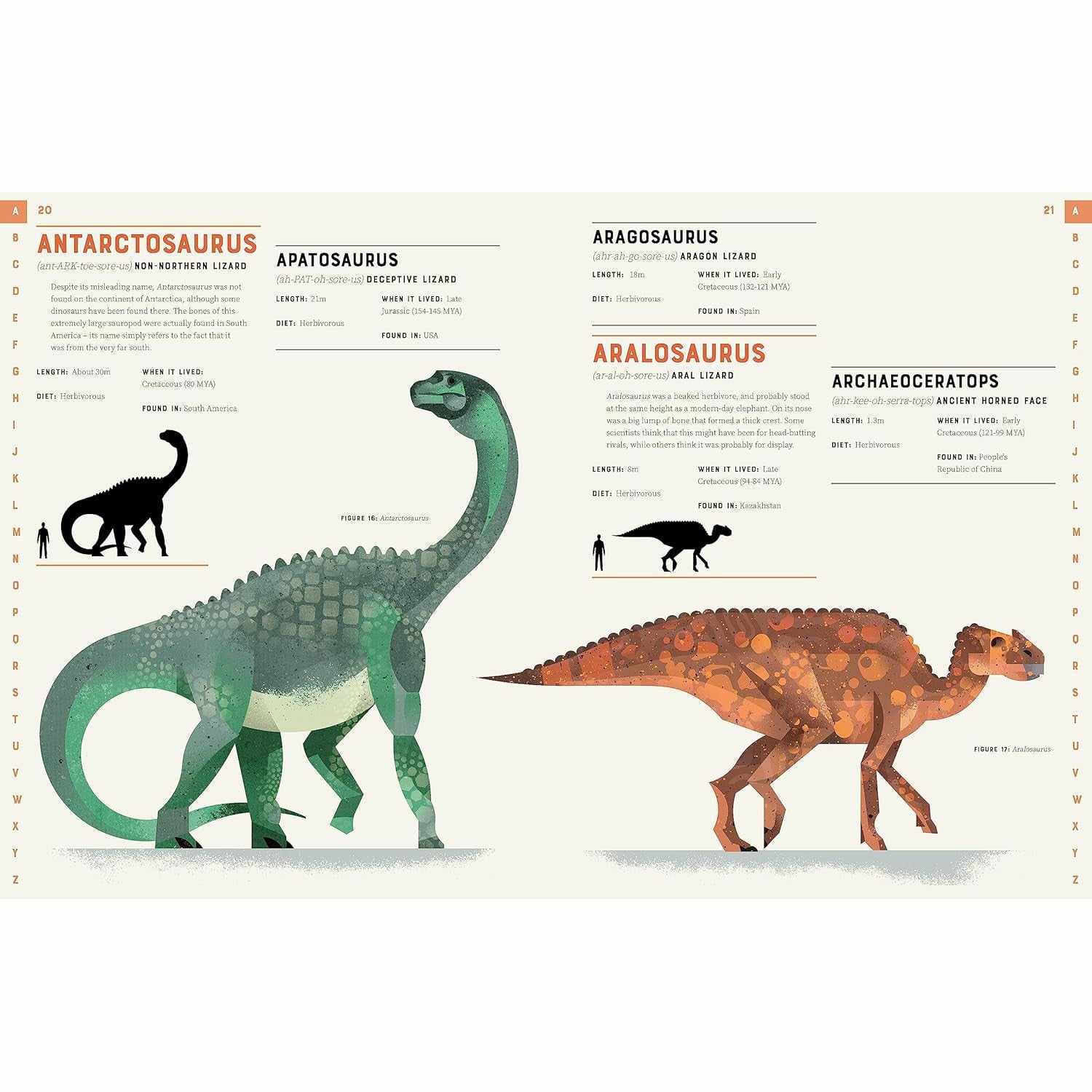 Dictionary of Dinosaurs - Natural History Museum | Scout & Co
