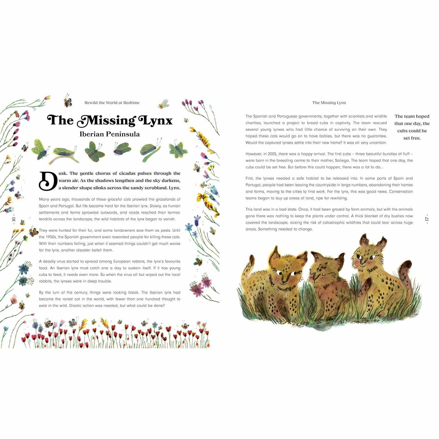 Rewild the World at Bedtime - Emily Hawkins | Scout & Co