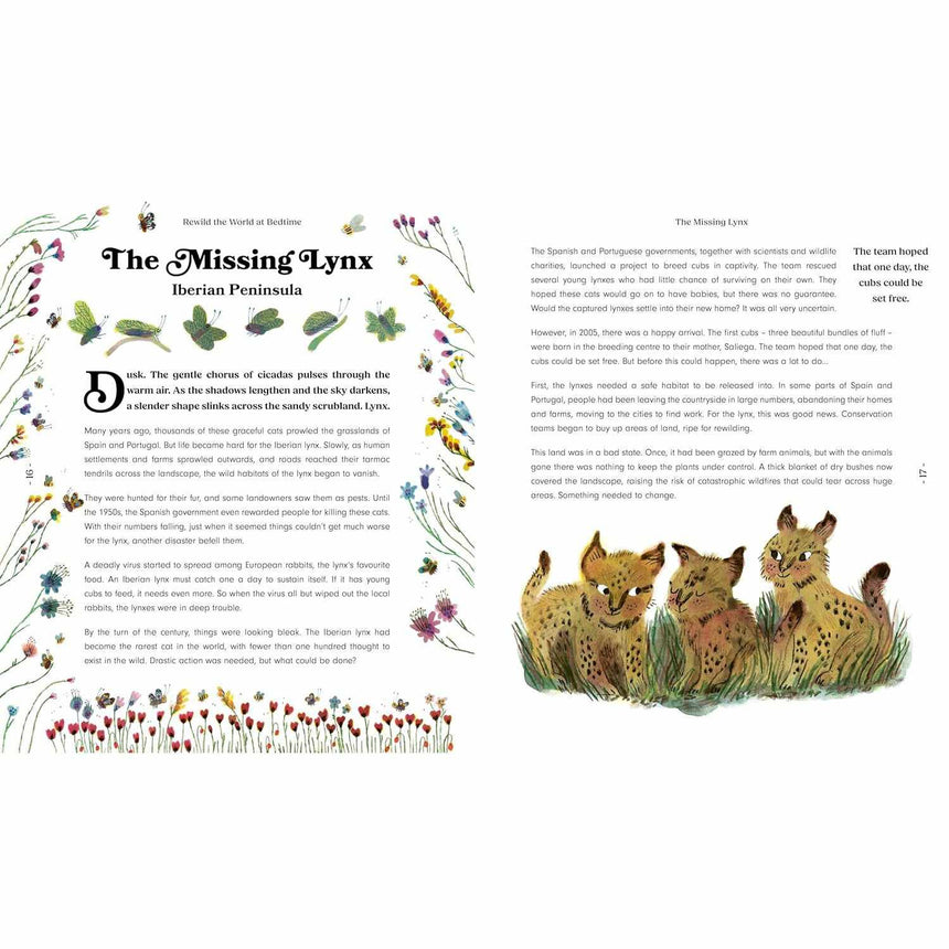Rewild the World at Bedtime - Emily Hawkins | Scout & Co