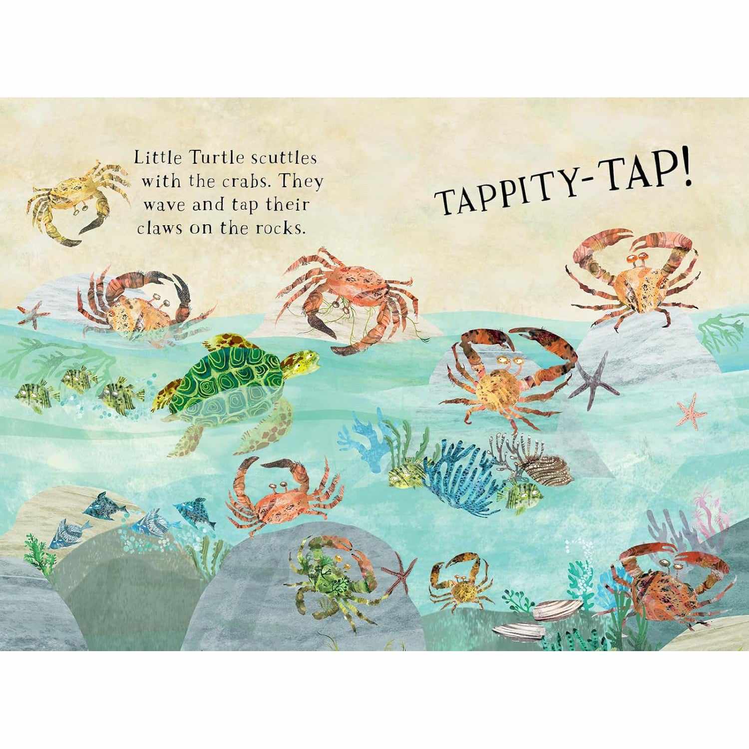 Little Turtle's Book Of The Blue board book - Yuval Zommer | Scout & Co