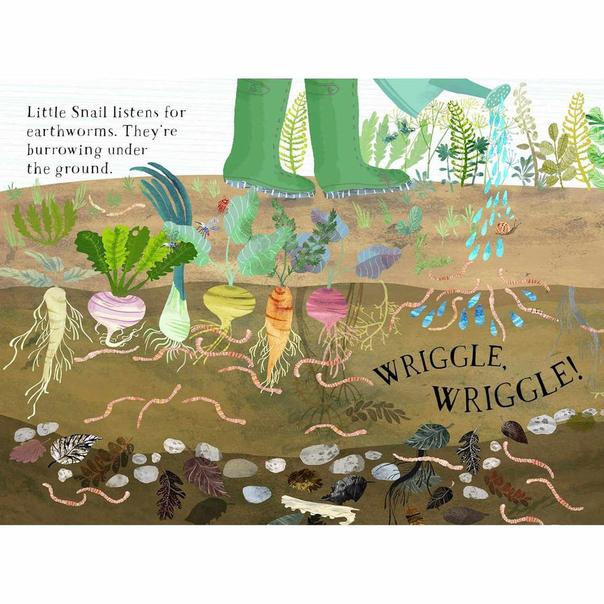 Little Snail's Book Of Bugs board book - Yuval Zommer | Scout & Co
