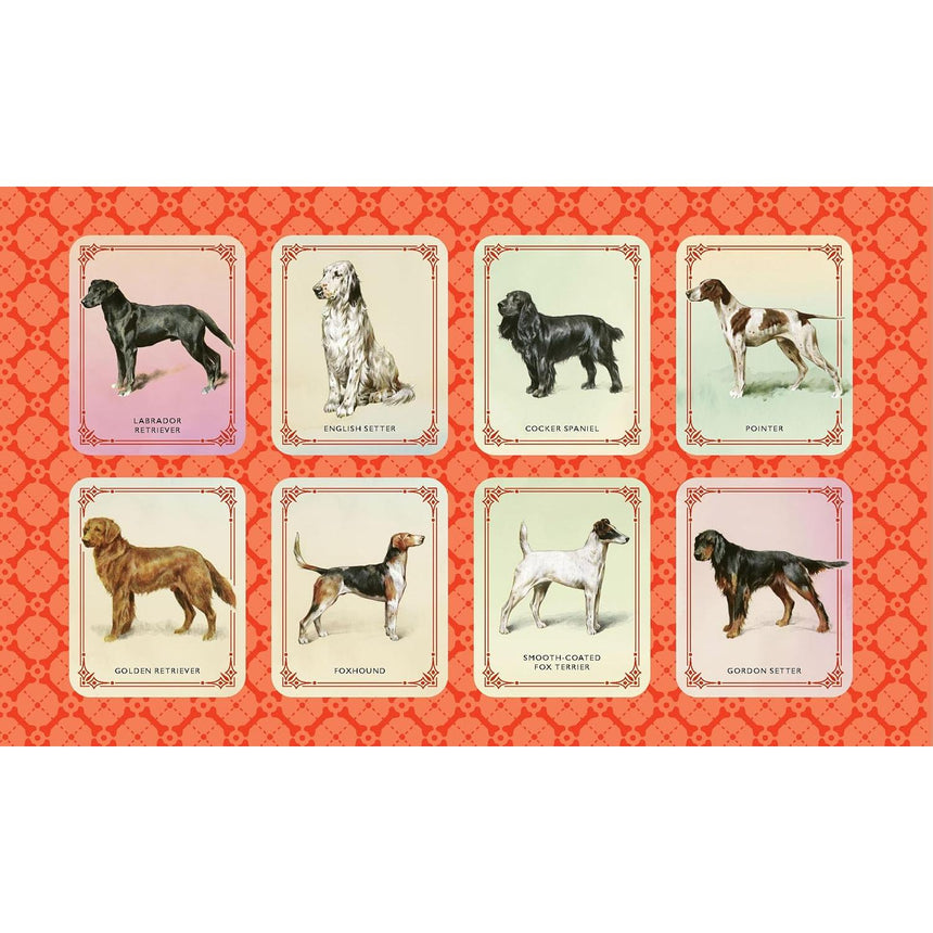 Vintage Dogs: guidebook and matching game - David Alderton | Scout & Co