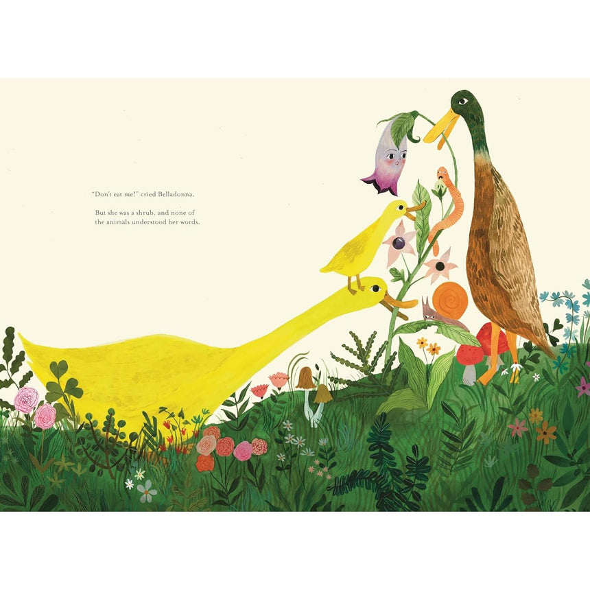 Don’t Eat Me! The Almost True Story of Belladonna - Kate Finney | Scout & Co