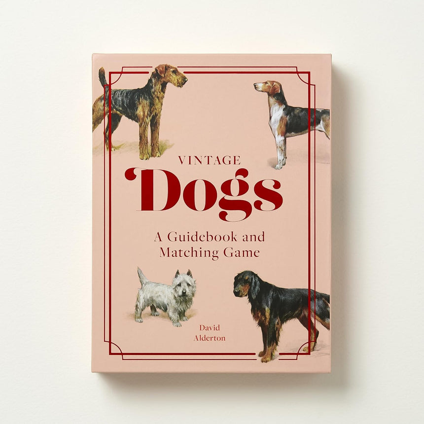 Vintage Dogs: guidebook and matching game - David Alderton