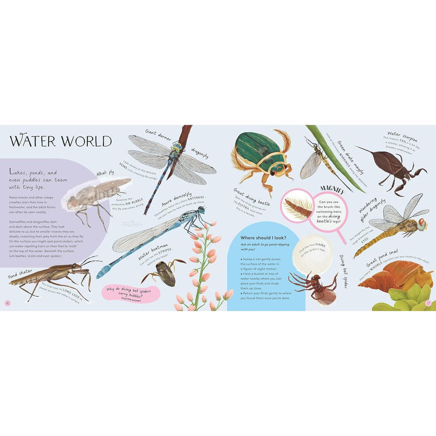 Minibeasts: Under the Magnifying Glass - Rosie Neave | Scout & Co