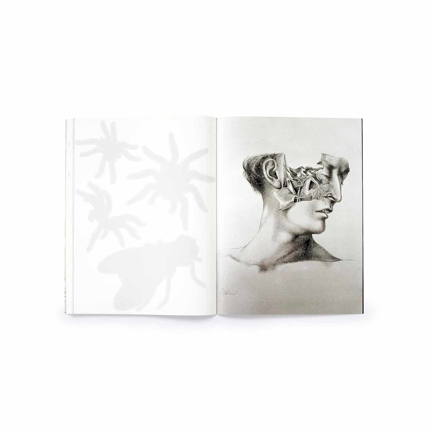 Cut Up This Book and Create Your Own Underworld - Eliza Scott | Scout & Co