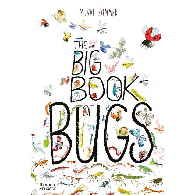The Big Book Of Bugs - Yuval Zommer | Scout & Co