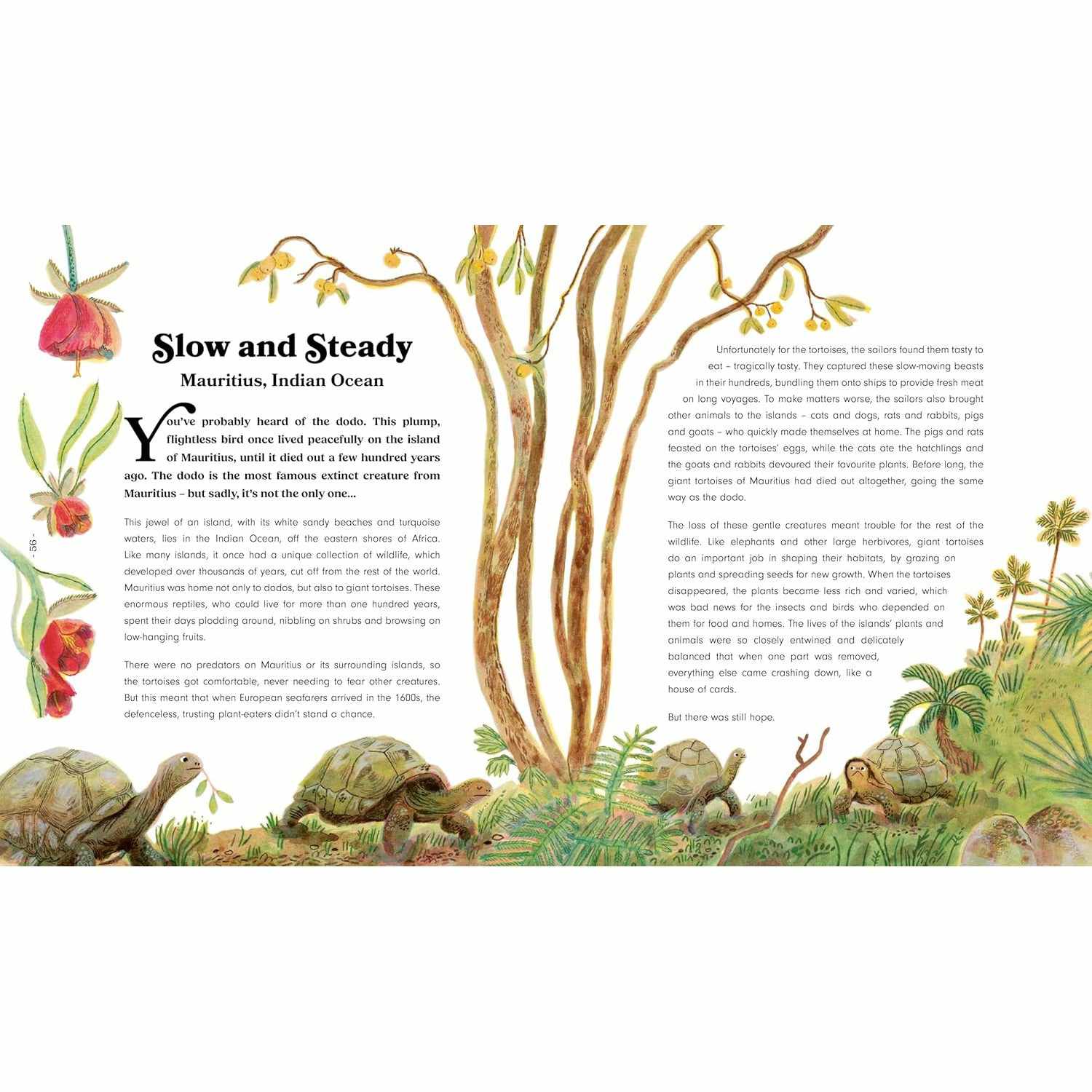 Rewild the World at Bedtime - Emily Hawkins | Scout & Co