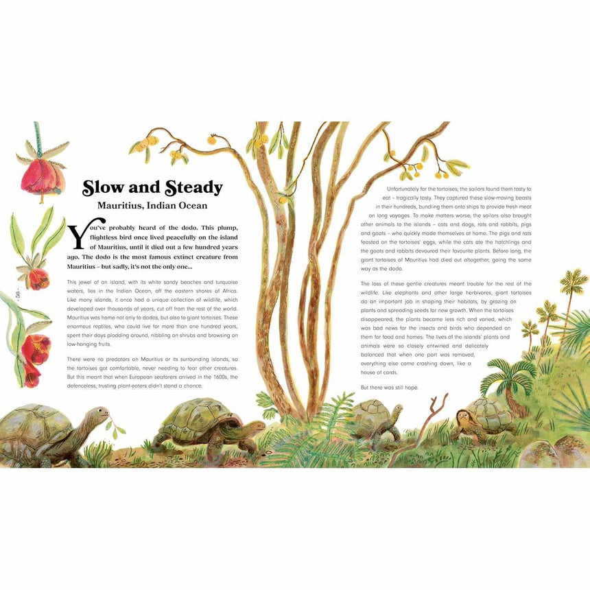 Rewild the World at Bedtime - Emily Hawkins | Scout & Co