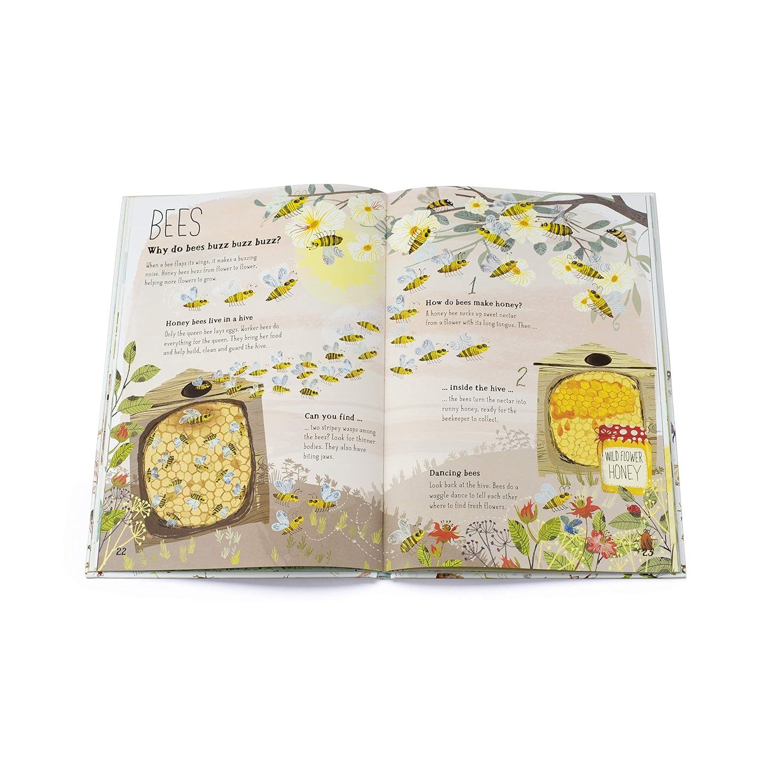 The Big Book Of Bugs - Yuval Zommer | Scout & Co