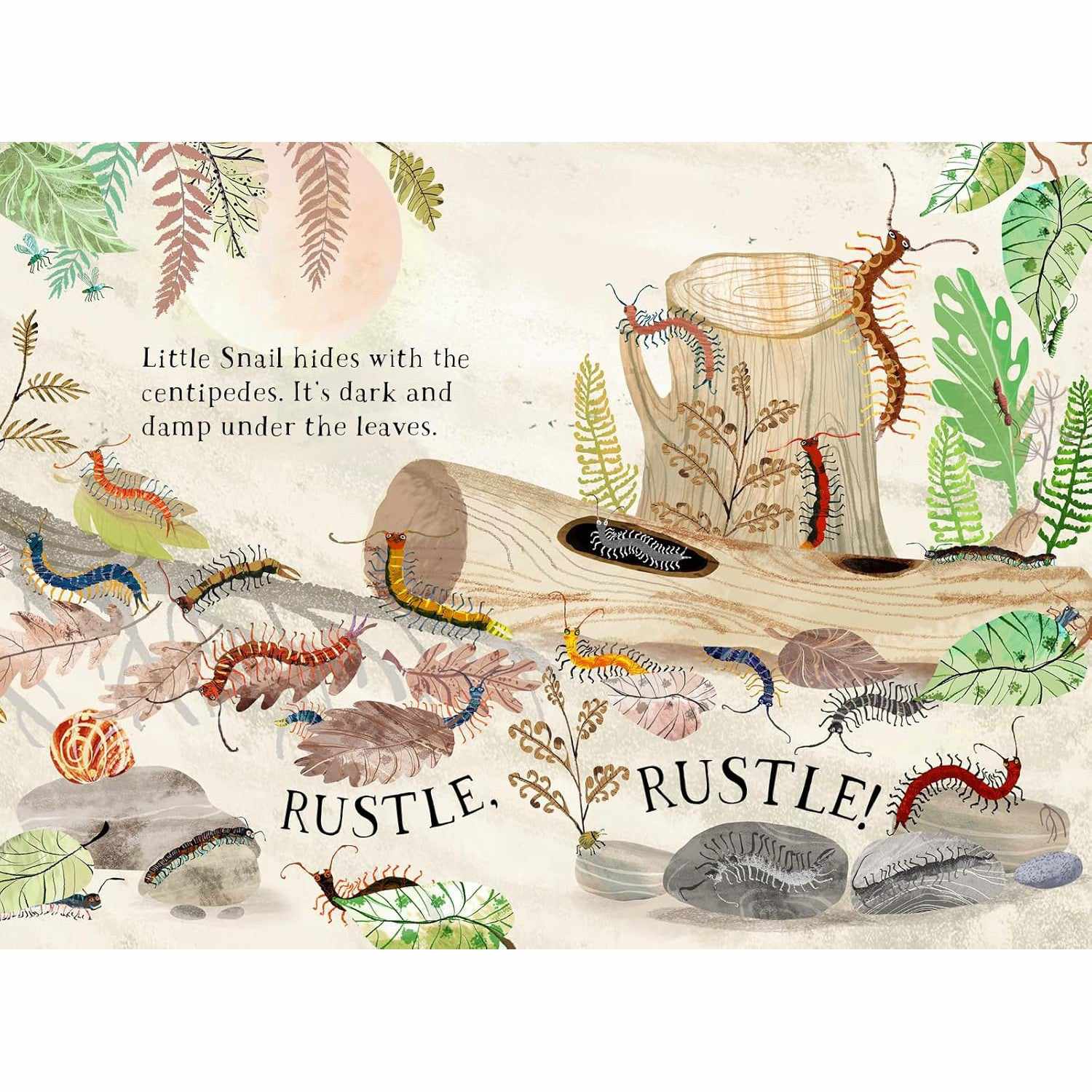 Little Snail's Book Of Bugs board book - Yuval Zommer | Scout & Co