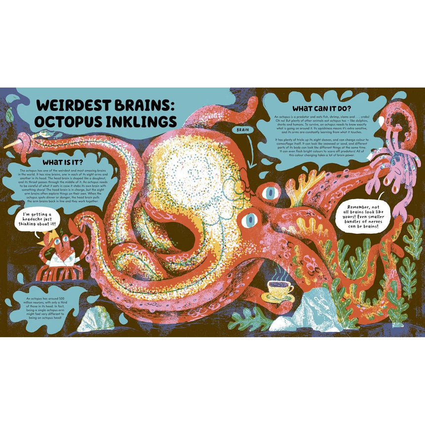 The No-Brainer Brain Explainer: How Animals Think, from Humans to Birdbrains - Crab Museum | Scout & Co