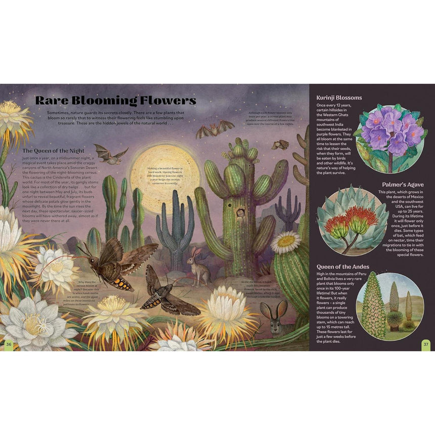 Once In A Blue Moon: Nature’s rarest events and best-kept secrets - Emily Hawkins | Scout & Co