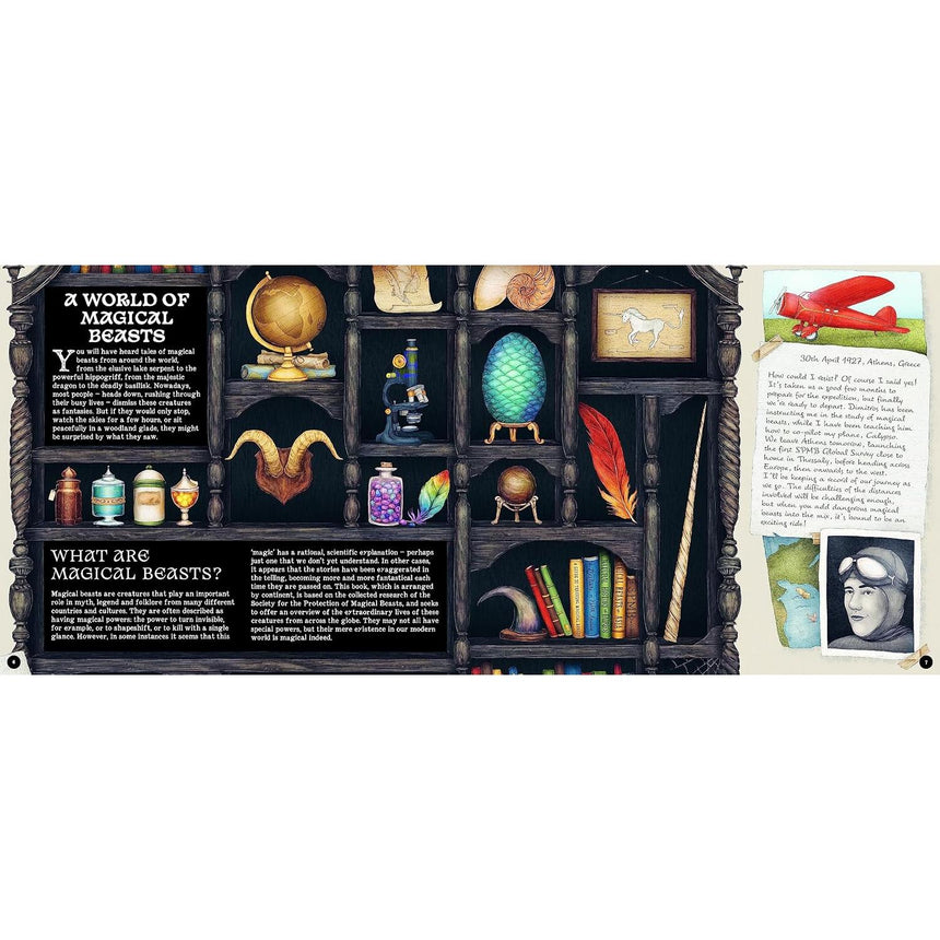 A Natural History of Magical Beasts - Emily Hawkins | Scout & Co