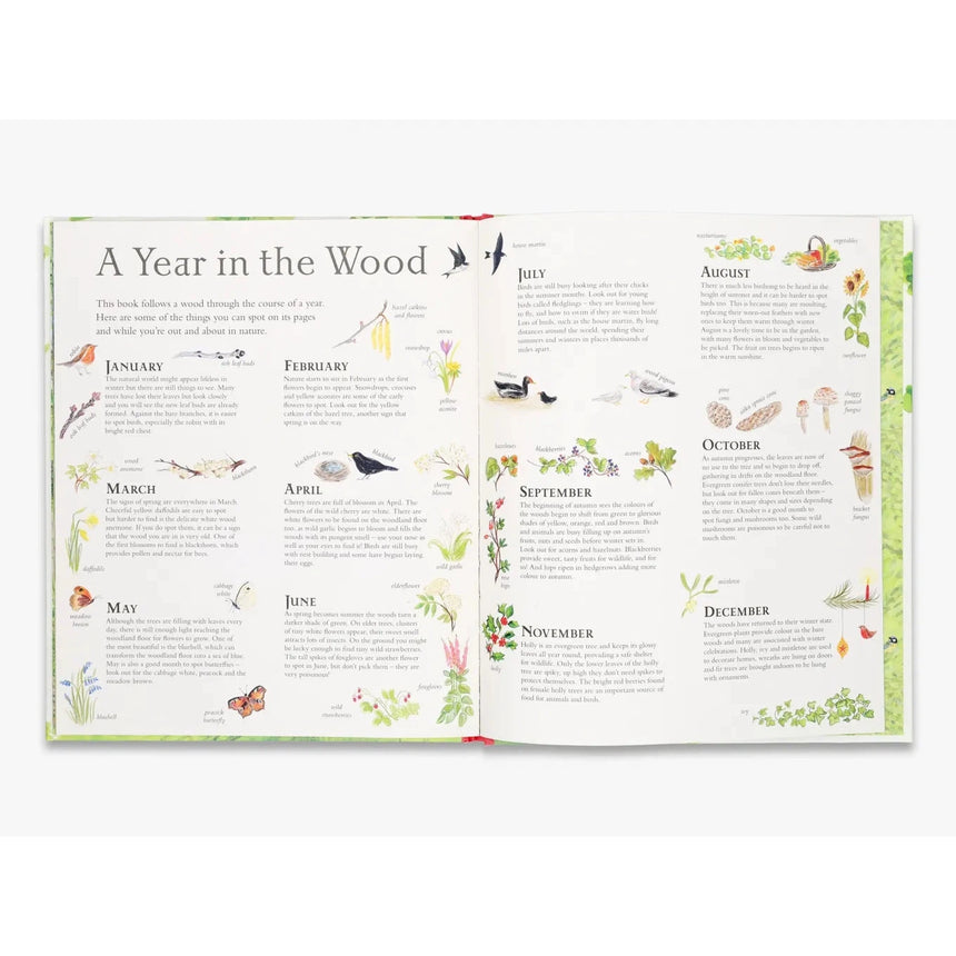 Mouse's Wood: A Year In Nature lift-the-flap book - Alice Melvin | Scout & Co