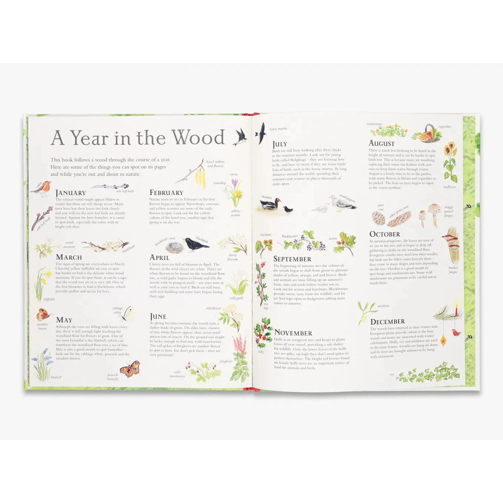 Mouse's Wood: A Year In Nature lift-the-flap book - Alice Melvin | Scout & Co