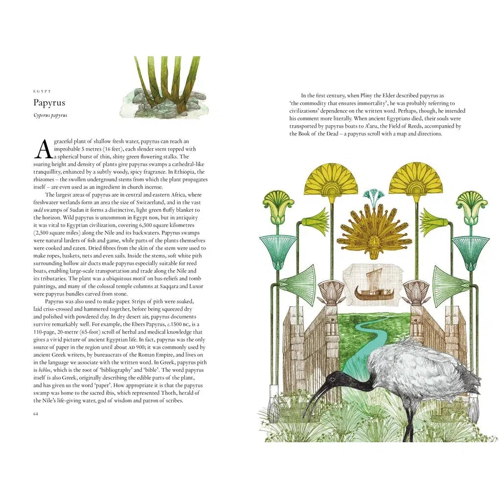 Around The World in 80 Plants - Jonathan Drori | Scout & Co