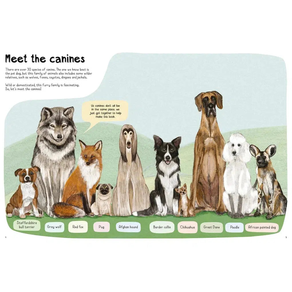 A Book of Dogs (and other canines) - Katie Viggers | Scout & Co