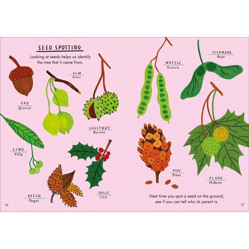 Hello Trees: A Little Guide To Nature - Nina Chakrabarti | Scout & Co