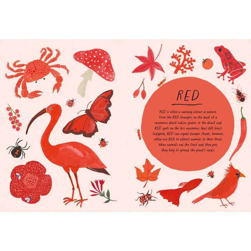 Drawn by Nature: Colours - Emily Rand | Scout & Co