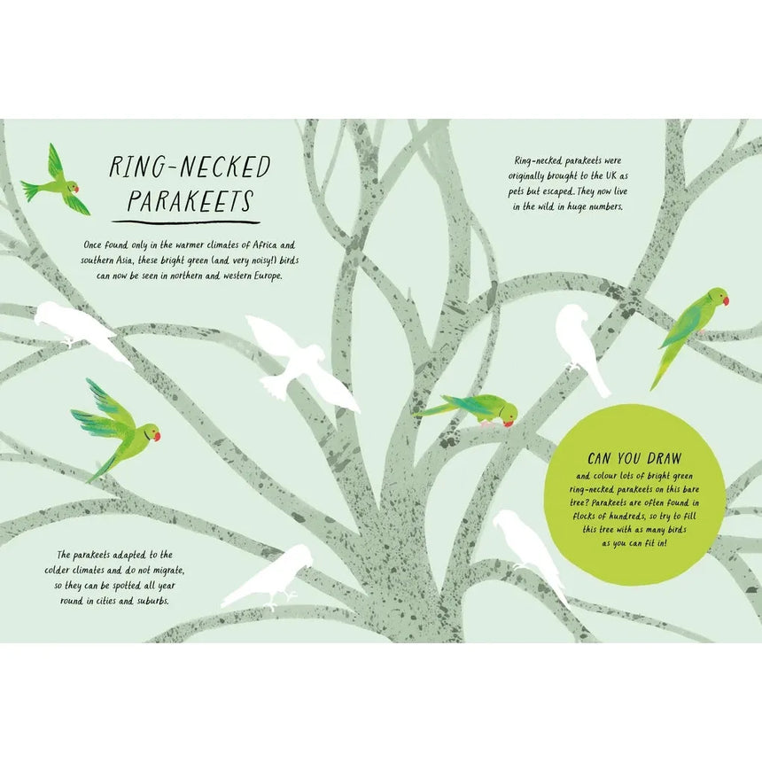 Drawn by Nature: Colours - Emily Rand | Scout & Co