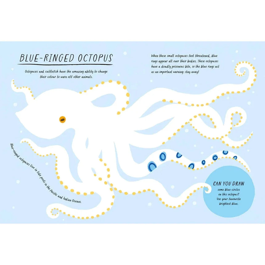 Drawn by Nature: Colours - Emily Rand | Scout & Co