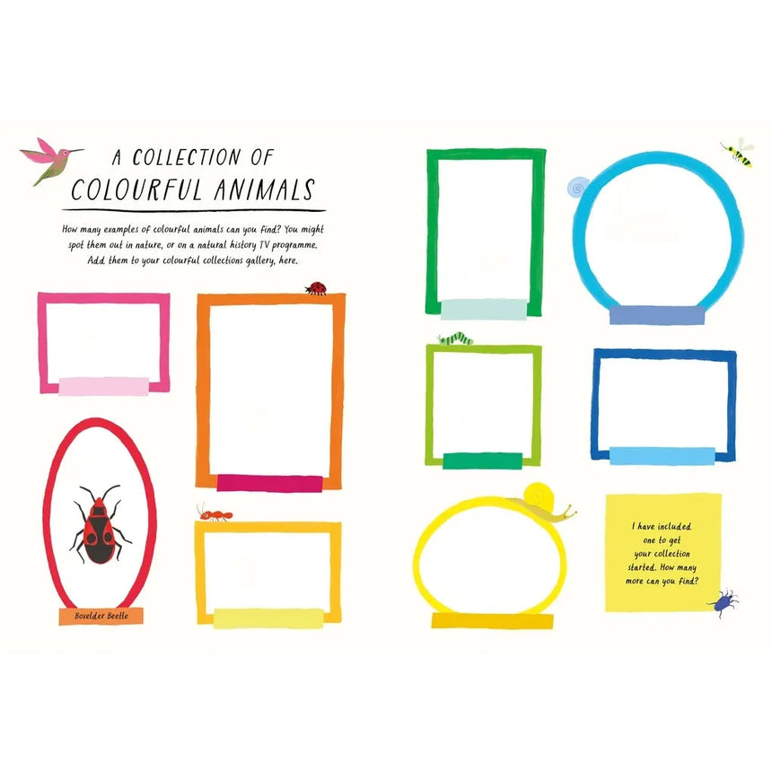 Drawn by Nature: Colours - Emily Rand | Scout & Co